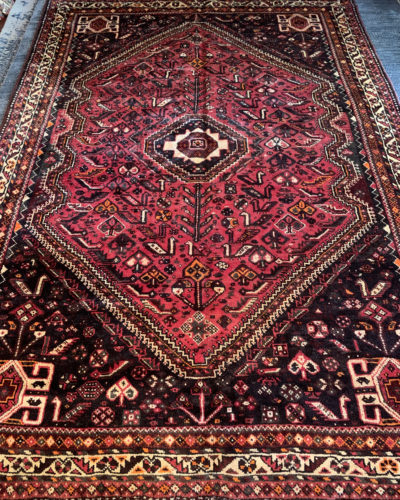 Persian Shiraz