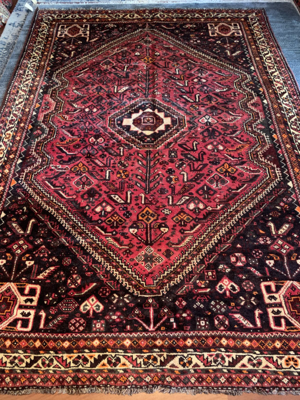 Persian Shiraz