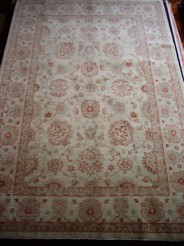 Afghan Zeigler