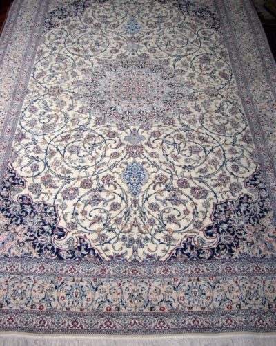 Persian 6L Nain