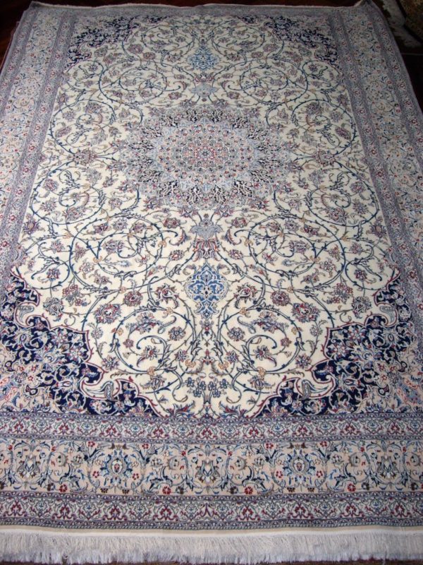 Persian 6L Nain