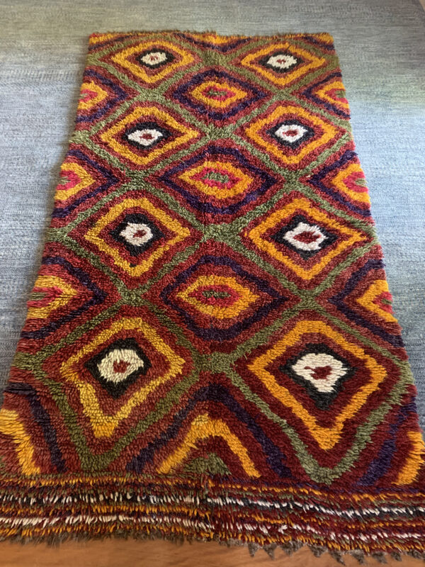 Turkish Konya Shaggy