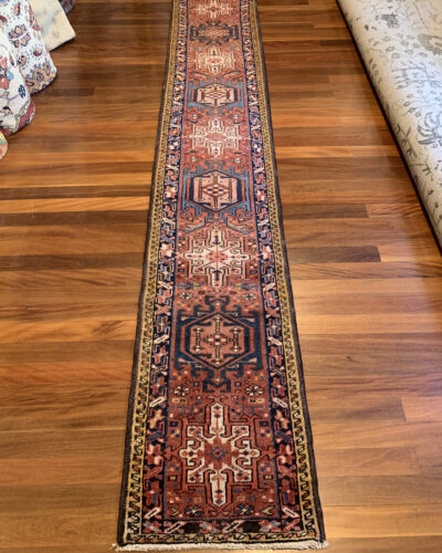Old Persian Luri runner