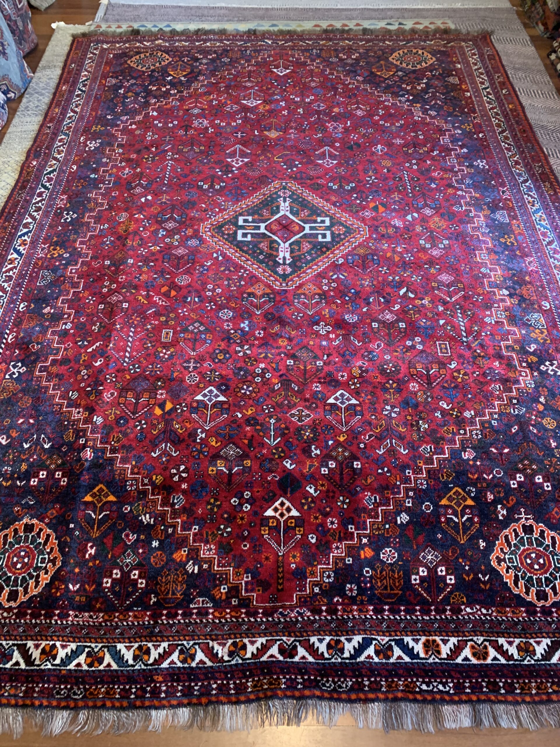 Persian Shiraz